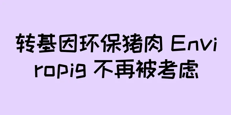 转基因环保猪肉 Enviropig 不再被考虑