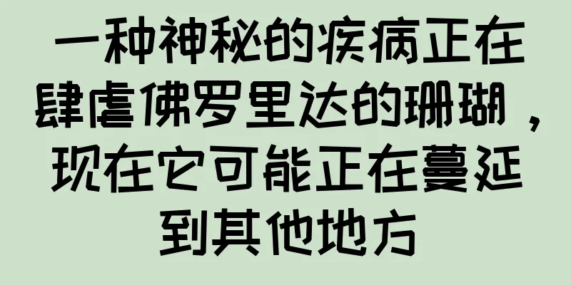 一种神秘的疾病正在肆虐佛罗里达的珊瑚，现在它可能正在蔓延到其他地方