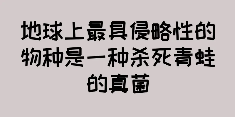 地球上最具侵略性的物种是一种杀死青蛙的真菌