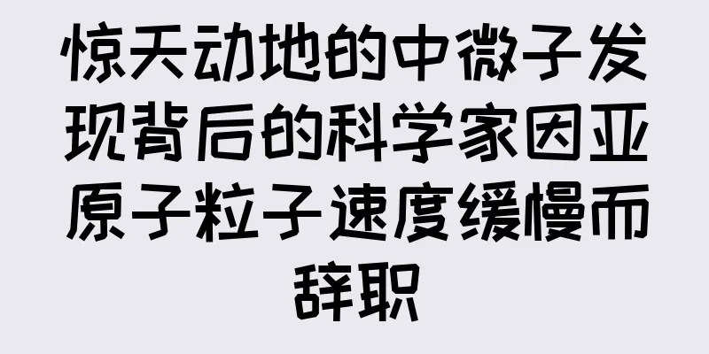 惊天动地的中微子发现背后的科学家因亚原子粒子速度缓慢而辞职