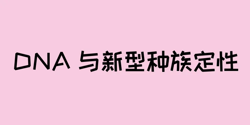 DNA 与新型种族定性