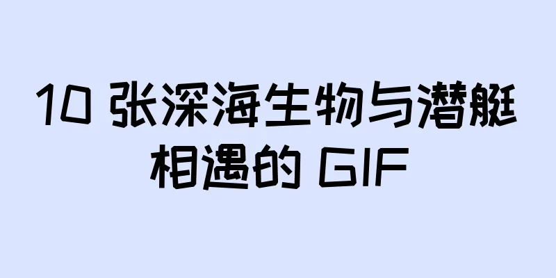 10 张深海生物与潜艇相遇的 GIF