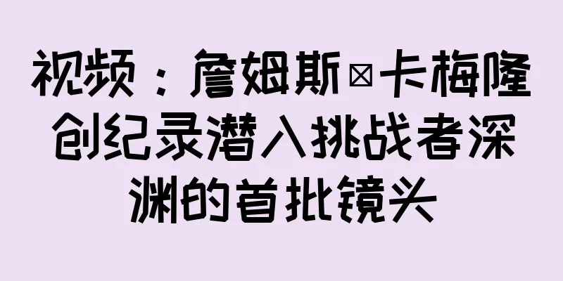 视频：詹姆斯·卡梅隆创纪录潜入挑战者深渊的首批镜头