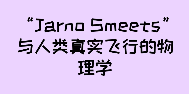 “Jarno Smeets” 与人类真实飞行的物理学