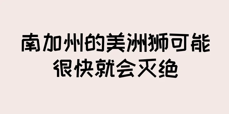 南加州的美洲狮可能很快就会灭绝