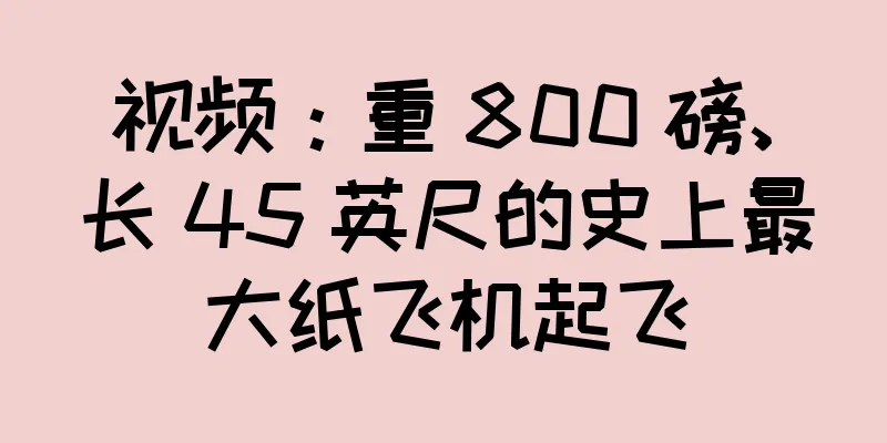 视频：重 800 磅、长 45 英尺的史上最大纸飞机起飞