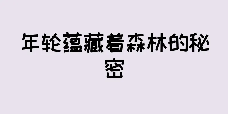 年轮蕴藏着森林的秘密