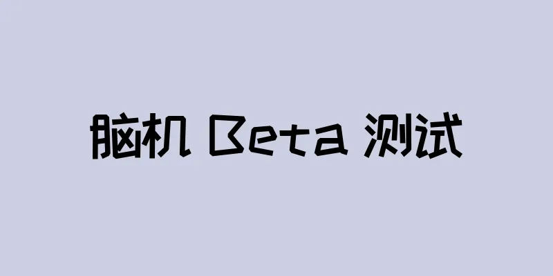 脑机 Beta 测试