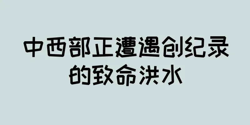 中西部正遭遇创纪录的致命洪水