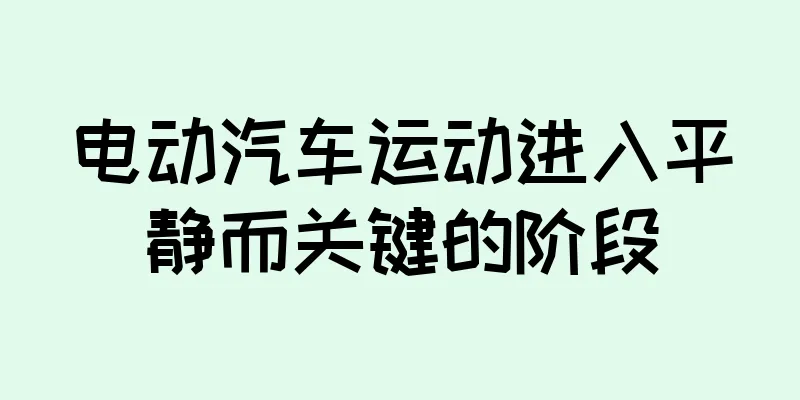 电动汽车运动进入平静而关键的阶段