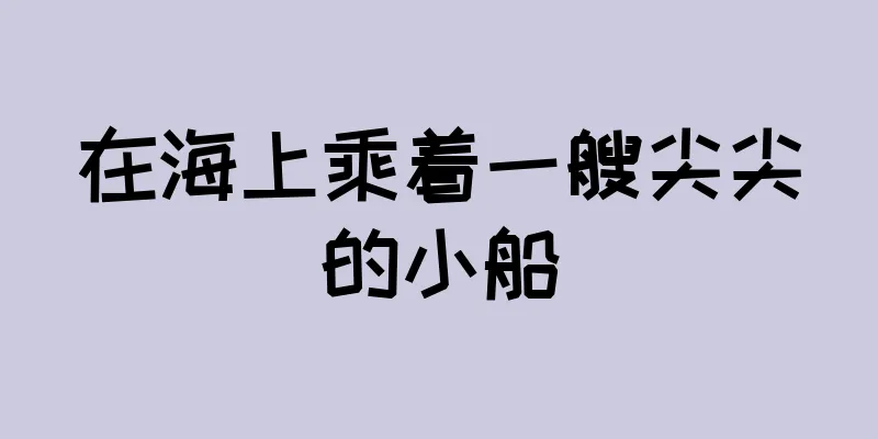 在海上乘着一艘尖尖的小船