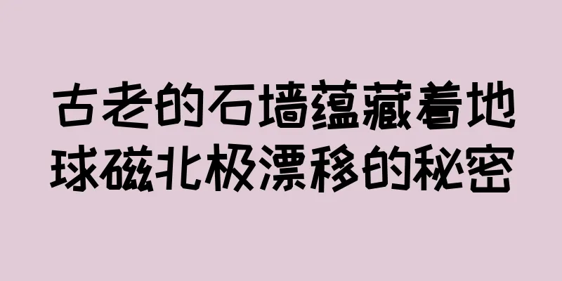 古老的石墙蕴藏着地球磁北极漂移的秘密