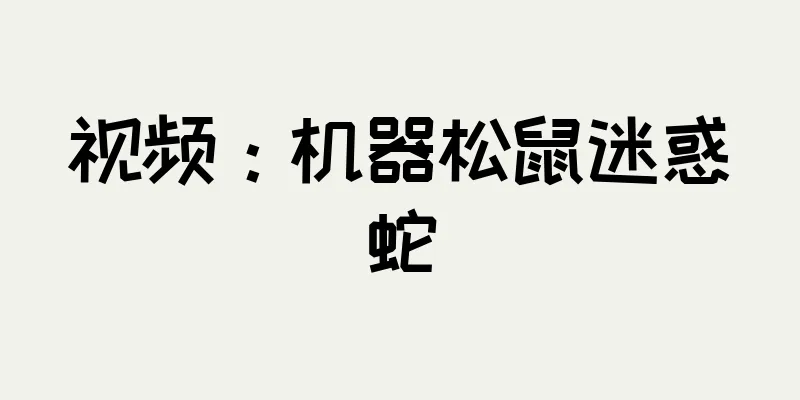 视频：机器松鼠迷惑蛇