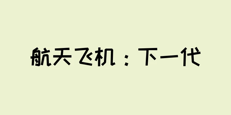 航天飞机：下一代