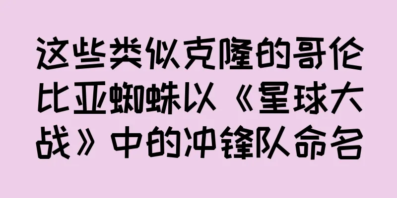 这些类似克隆的哥伦比亚蜘蛛以《星球大战》中的冲锋队命名