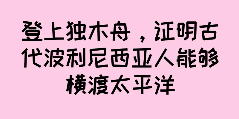 登上独木舟，证明古代波利尼西亚人能够横渡太平洋