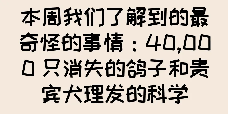 本周我们了解到的最奇怪的事情：40,000 只消失的鸽子和贵宾犬理发的科学