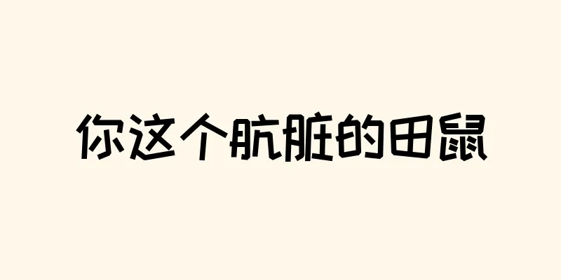 你这个肮脏的田鼠