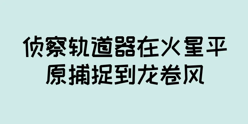 侦察轨道器在火星平原捕捉到龙卷风
