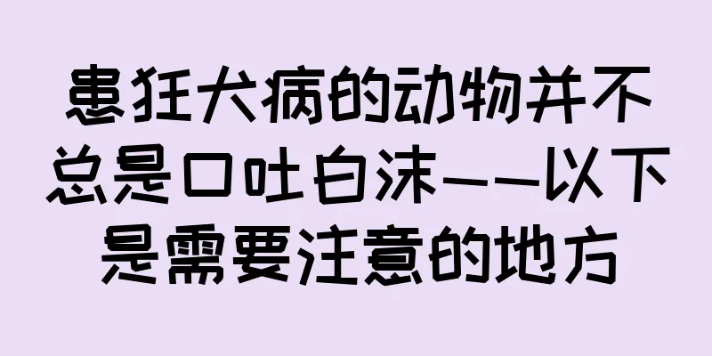 患狂犬病的动物并不总是口吐白沫——以下是需要注意的地方