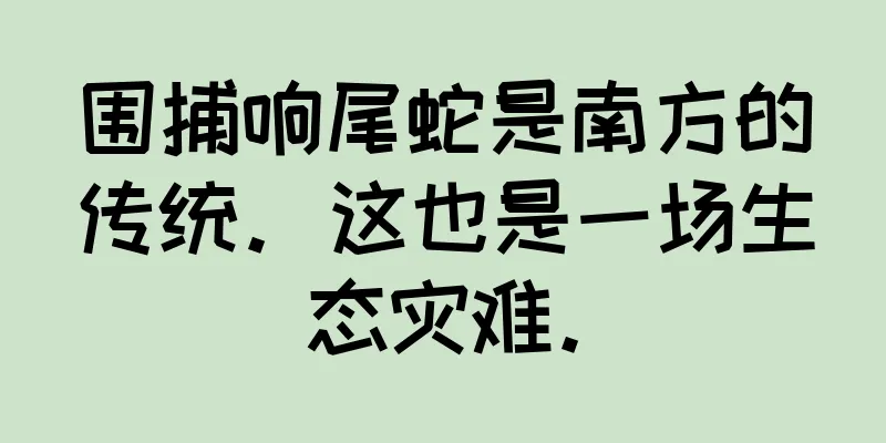 围捕响尾蛇是南方的传统。这也是一场生态灾难。