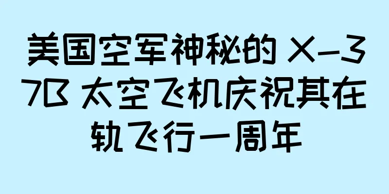 美国空军神秘的 X-37B 太空飞机庆祝其在轨飞行一周年
