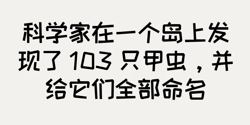 科学家在一个岛上发现了 103 只甲虫，并给它们全部命名