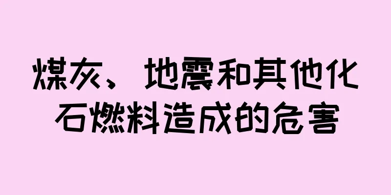 煤灰、地震和其他化石燃料造成的危害