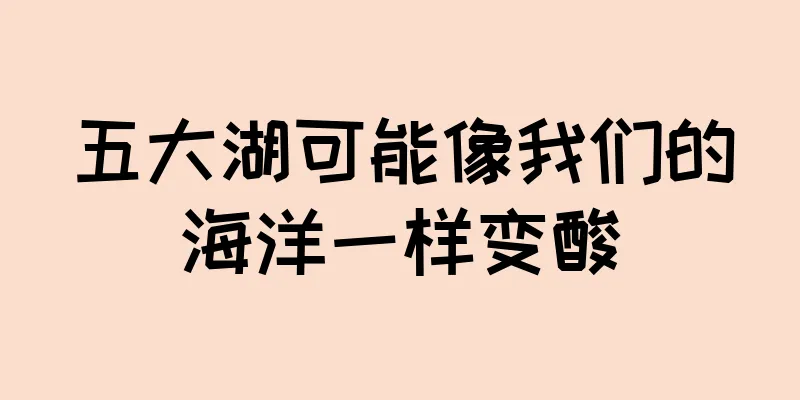 五大湖可能像我们的海洋一样变酸