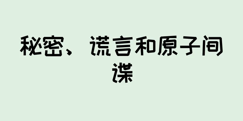 秘密、谎言和原子间谍