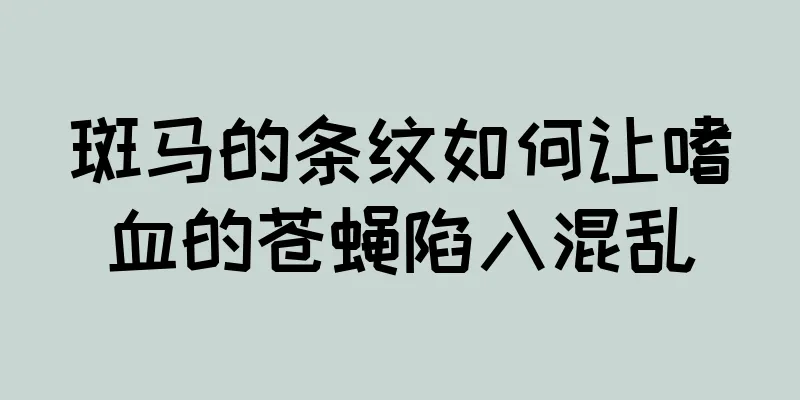 斑马的条纹如何让嗜血的苍蝇陷入混乱