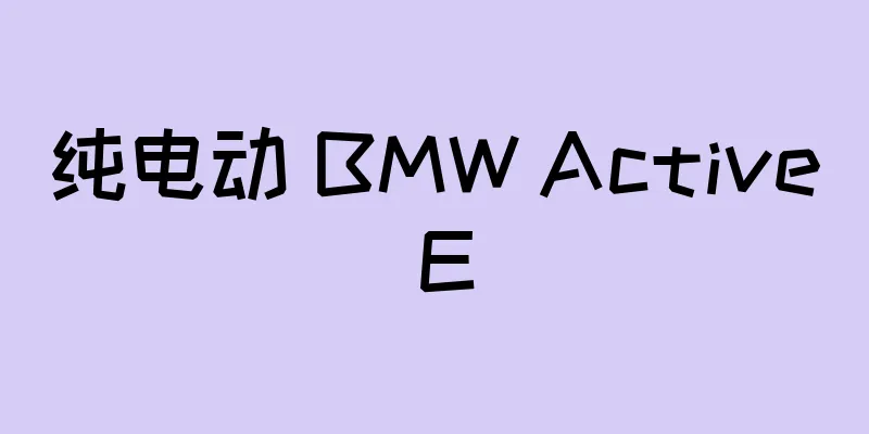 纯电动 BMW Active E