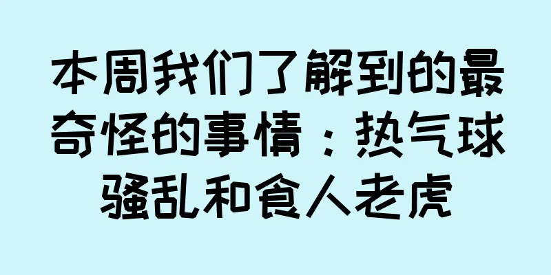 本周我们了解到的最奇怪的事情：热气球骚乱和食人老虎