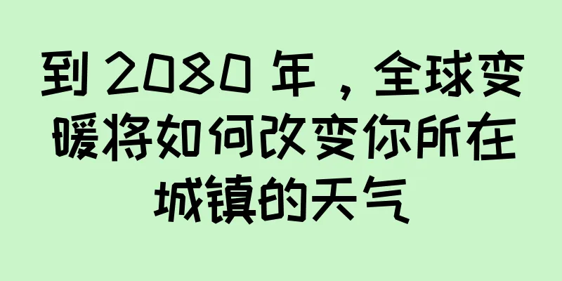 到 2080 年，全球变暖将如何改变你所在城镇的天气