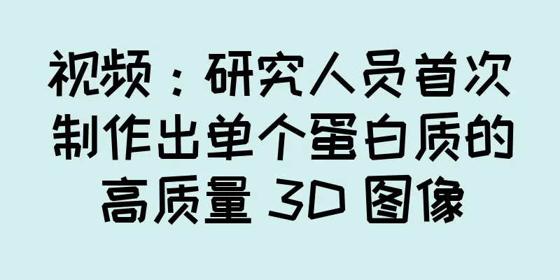 视频：研究人员首次制作出单个蛋白质的高质量 3D 图像