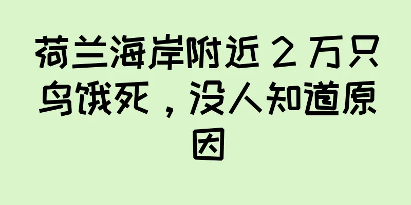 荷兰海岸附近 2 万只鸟饿死，没人知道原因