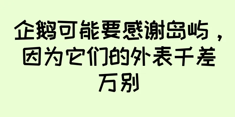 企鹅可能要感谢岛屿，因为它们的外表千差万别