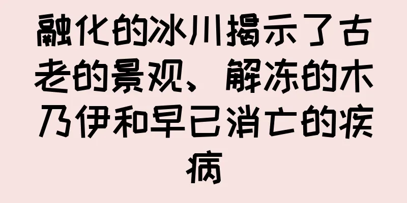 融化的冰川揭示了古老的景观、解冻的木乃伊和早已消亡的疾病
