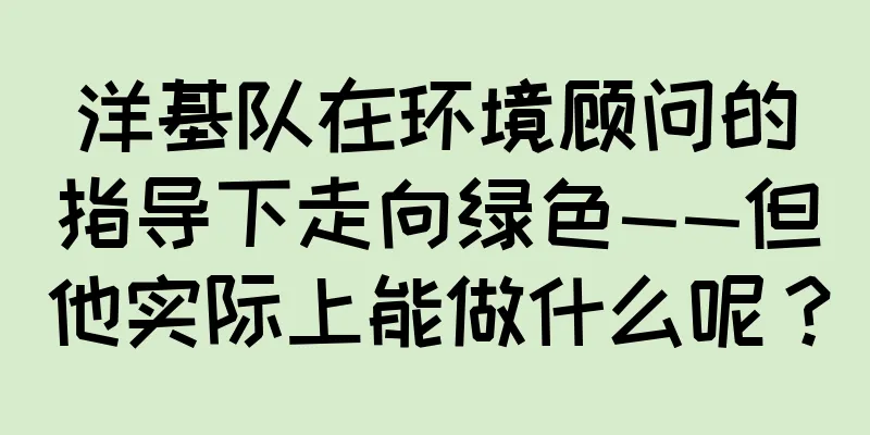 洋基队在环境顾问的指导下走向绿色——但他实际上能做什么呢？