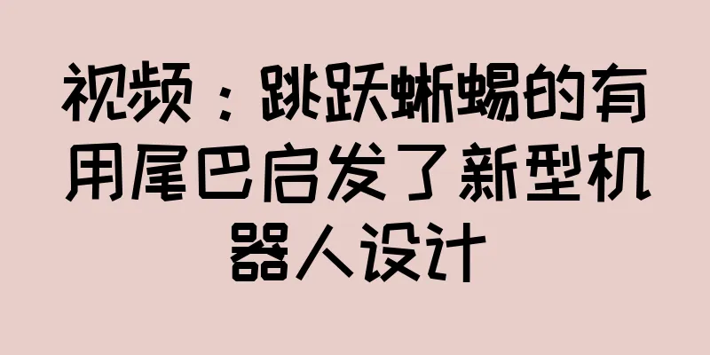 视频：跳跃蜥蜴的有用尾巴启发了新型机器人设计