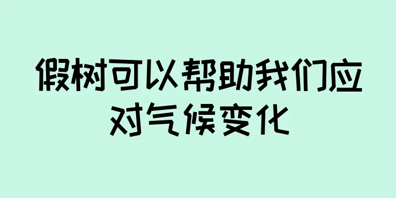 假树可以帮助我们应对气候变化