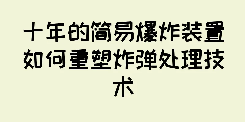 十年的简易爆炸装置如何重塑炸弹处理技术