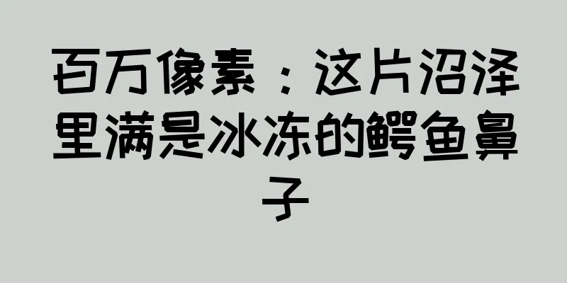 百万像素：这片沼泽里满是冰冻的鳄鱼鼻子