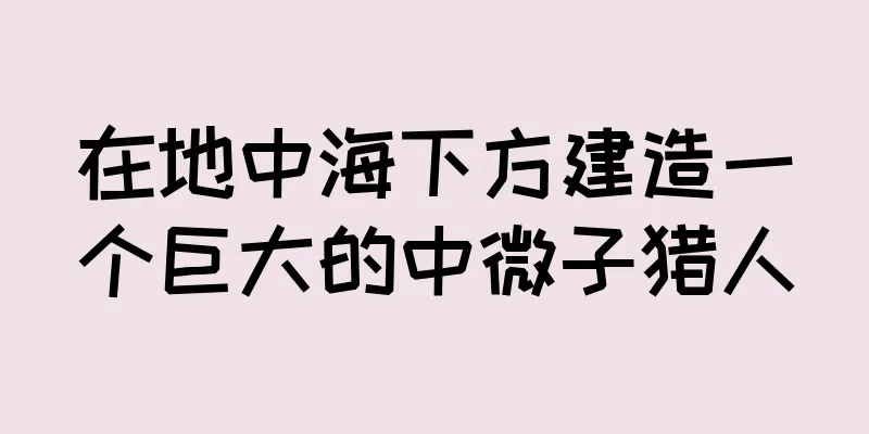 在地中海下方建造一个巨大的中微子猎人