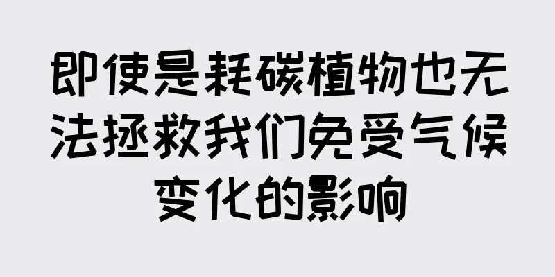 即使是耗碳植物也无法拯救我们免受气候变化的影响