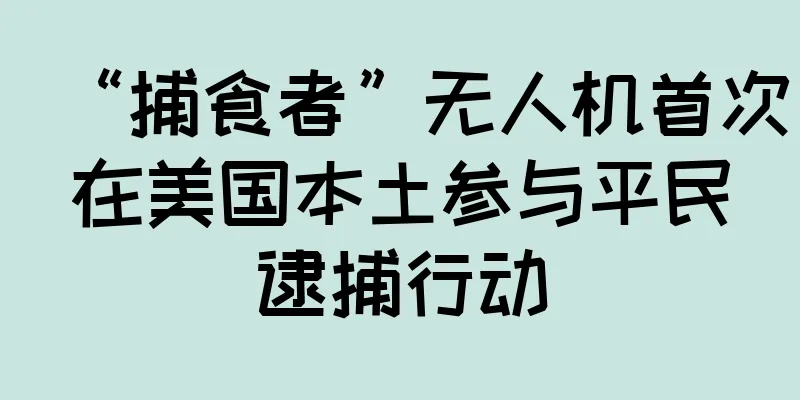 “捕食者”无人机首次在美国本土参与平民逮捕行动