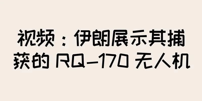 视频：伊朗展示其捕获的 RQ-170 无人机