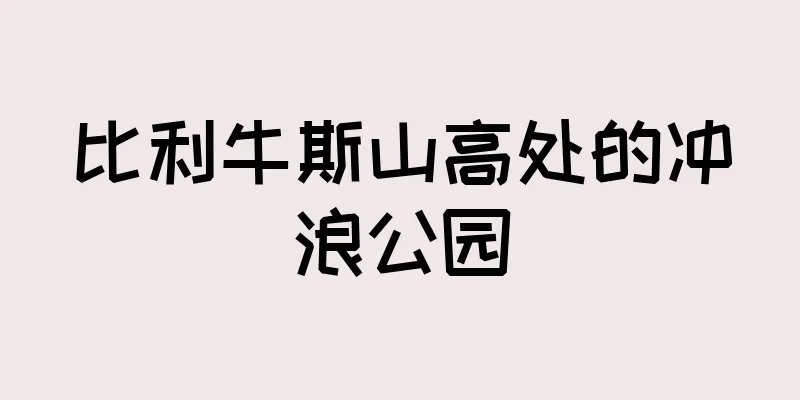 比利牛斯山高处的冲浪公园