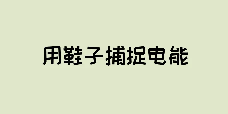 用鞋子捕捉电能
