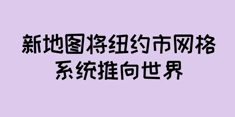 新地图将纽约市网格系统推向世界